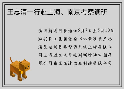 王志清一行赴上海、南京考察调研