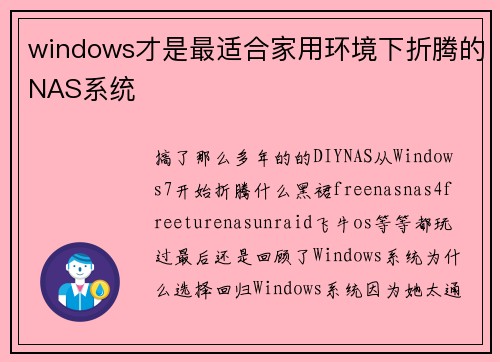 windows才是最适合家用环境下折腾的NAS系统