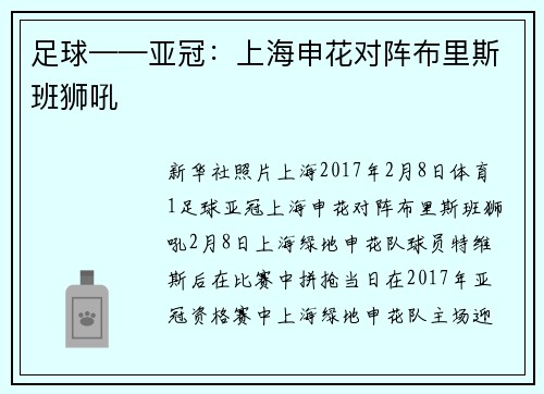 足球——亚冠：上海申花对阵布里斯班狮吼